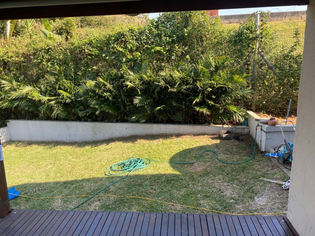 Before